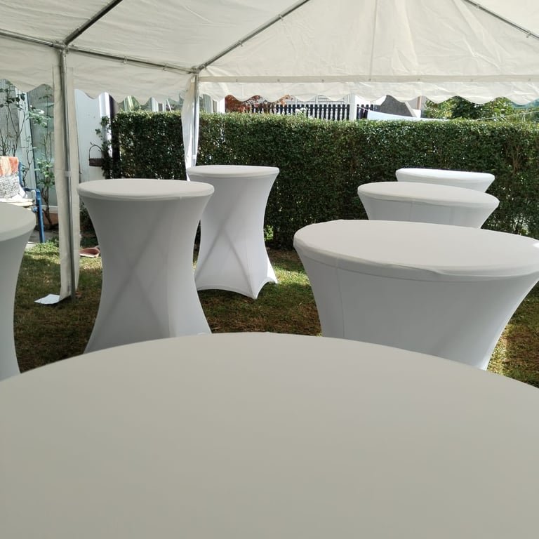 sator16 YrDa44gnD0in1qVa