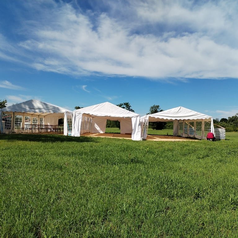 six mp8nlQ6z7OTvb7oX